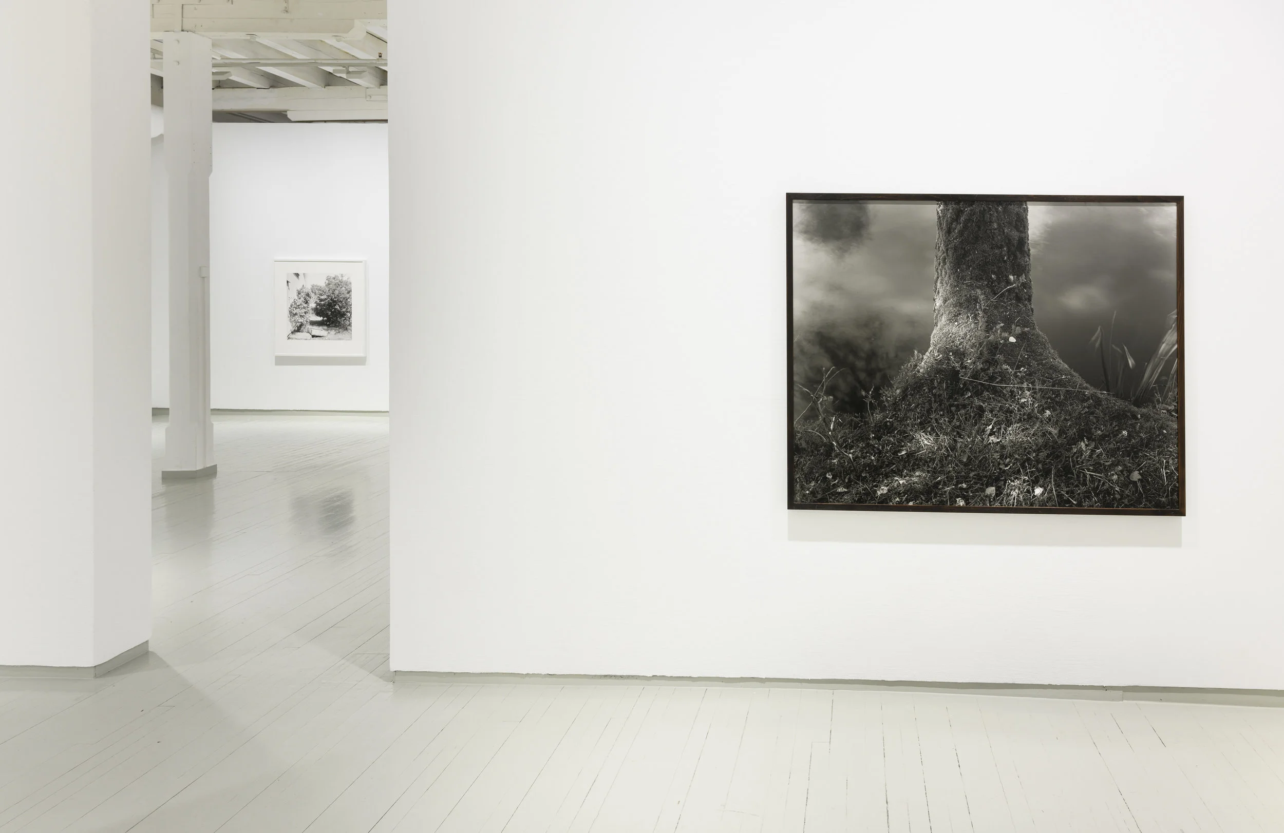 LAYERS OF LIGHT:Dag Alveng/ダグ・アルヴェング 写真集 News — DAG ALVENG